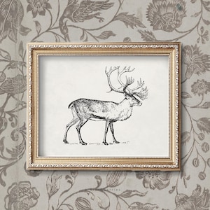 Desenho de veado vintage, arte de parede para impressão de veado, antiguidade de chalé, pôster de veado, estampa de animal de inverno, decorações de feriado, estampa de rena