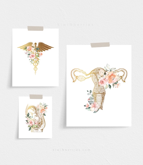 Obgyn Office Decor Obstetrician Office Wall Art Duola - Etsy