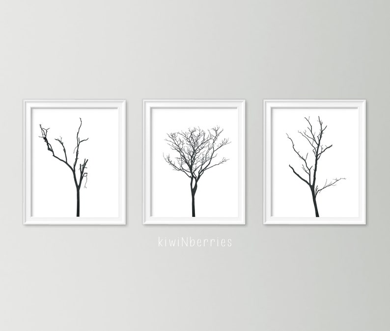 Set of 3 tree branch art Monochrome botanical art Botanical art set Black and white art prints Minimalist decor Tree posters image 1