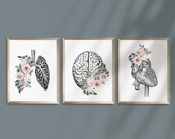 Anatomy Art Set, Brain Heart Lungs Wall Art, Medical Student Gift ...