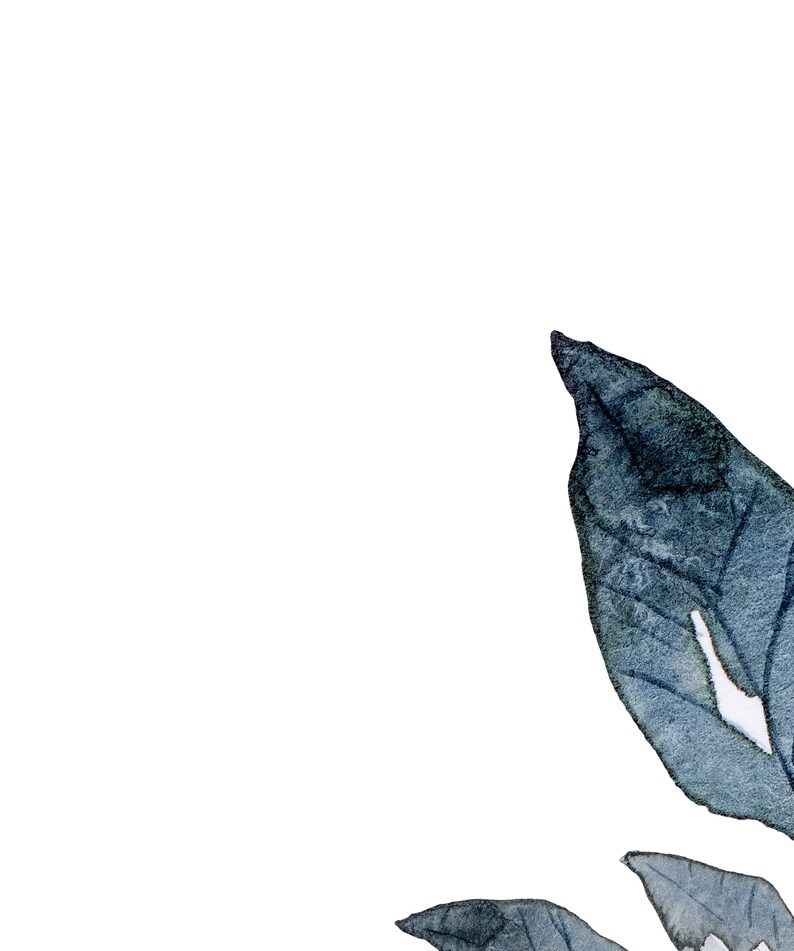 May include: Watercolour painting of blue leaves on a white background. The leaves are arranged in a corner of the image, with the majority of the space being white.