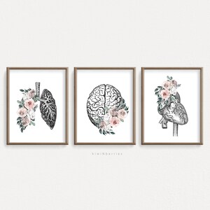 Set of 3 Anatomy Printables, Heart Lungs and Brain, Medical Prints ...