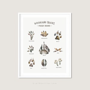 Forest field guide print, Animal tracks woodland, Animal paw prints, Boys Art Prints, Printable forest Animals, Boys room wall art