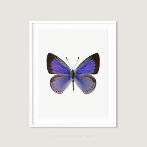 Affiche papillon violet, Papillon imprimable, Art mural moderne, Art papillon numérique,Design moderne scandinave Art scandinave image 1