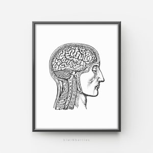 Anatomical Brain Print, Medical Wall Art, Medicine Students, Psychiatry Doctor Decor, Therapist Counselor, Brain Mental Posters,