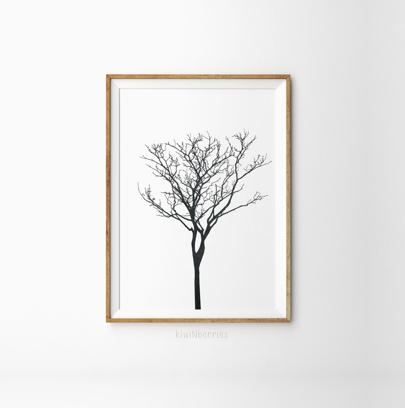 Set of 3 tree branch art Monochrome botanical art Botanical art set Black and white art prints Minimalist decor Tree posters image 5