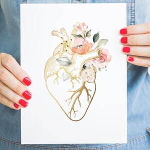 Puede incluir: Una ilustraci&oacute;n dorada de un coraz&oacute;n anat&oacute;mico con flores rosas y blancas en acuarela. El coraz&oacute;n est&aacute; delineado en oro y tiene un dise&ntilde;o detallado de las c&aacute;maras y las venas.