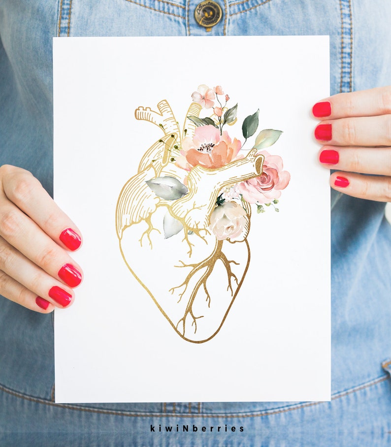 Puede incluir: Una ilustraci&oacute;n dorada de un coraz&oacute;n anat&oacute;mico con flores rosas y blancas en acuarela. El coraz&oacute;n est&aacute; delineado en oro y tiene un dise&ntilde;o detallado de las c&aacute;maras y las venas.