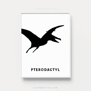 Op de afbeelding: Zwart-witte silhouet van een Pterodactylus, een vliegende dinosaurus, met het woord "PTERODACTYL" eronder.