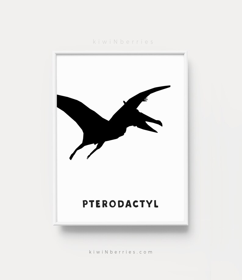 Op de afbeelding: Zwart-witte silhouet van een Pterodactylus, een vliegende dinosaurus, met het woord "PTERODACTYL" eronder.