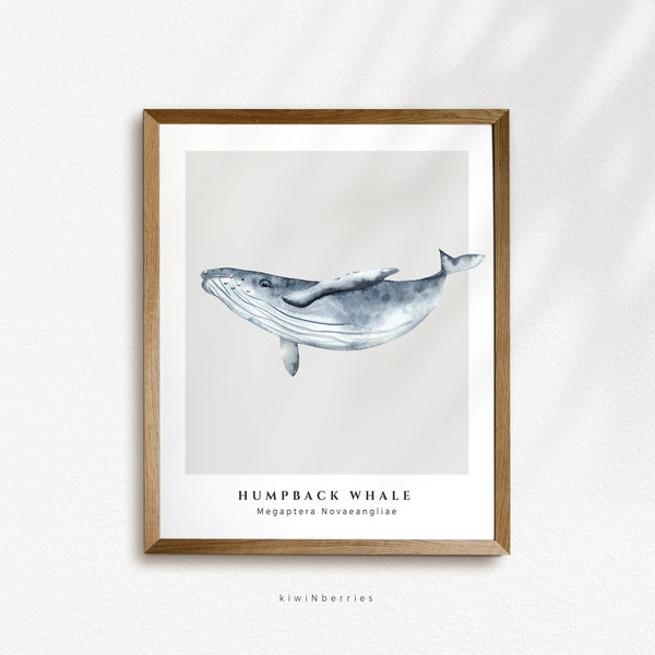 Humpback whale Print, Underwater Animal Print, Whale Species, Sea Animal Poster,Neutral Minimalist Prints,Beach house Decor,Coastal Tropical