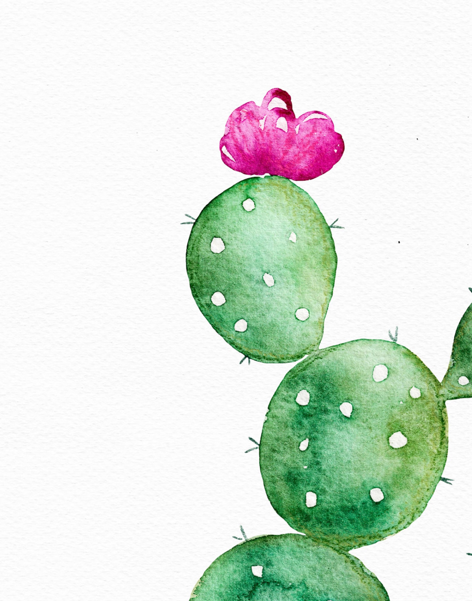 Cactus Print Printable Cactus Art Botanical Prints - Etsy