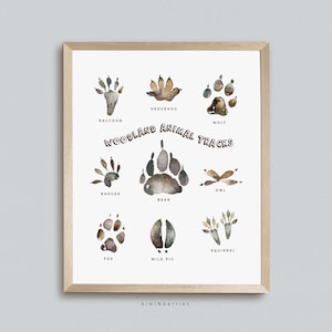 Animal Tracks Print, Woodland  Field Guide, Printable Digital Wall art, Animal Footprints, Tracks Poster, Wild Animals Chart, Paws