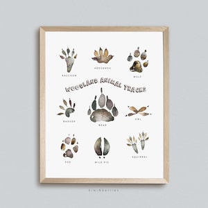 Animal Tracks Print Animal Tracks of the Woodland Printable Animal