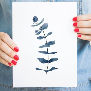 May include: A watercolour painting of a blue eucalyptus branch on a white background.