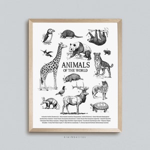 Impresión de gráfico de animales salvajes, blanco y negro incompleto, niños que acampan al aire libre, arte de la pared de la naturaleza, cartel de animales de aprendizaje, imprimible digital