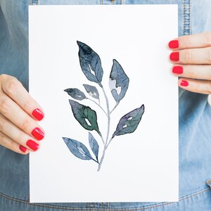 May include: A watercolour painting of a branch with blue-green leaves. The leaves are painted in a light and airy style, with a soft, watercolour effect.