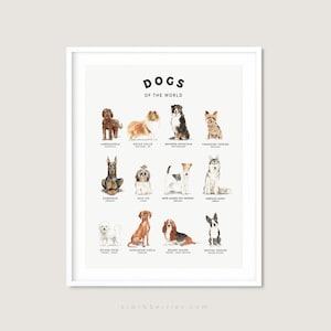 Cartel de razas de perros, Impresión de razas de perros, Arte mural imprimible, Impresión de arte de perros del mundo, País de origen de perros, Carta de perros, Decoración canina