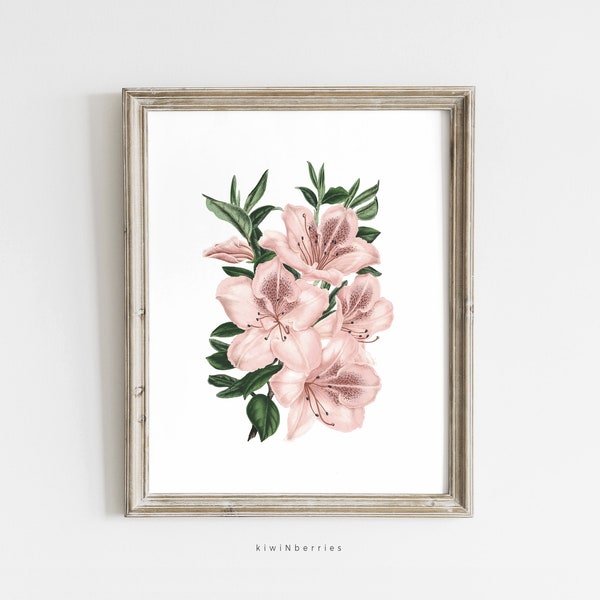 Pale pink Azalea Print, Antique Printables, Azalea Flower Poster, Muted neutral Wall Art, Floral Botanical Digital Art