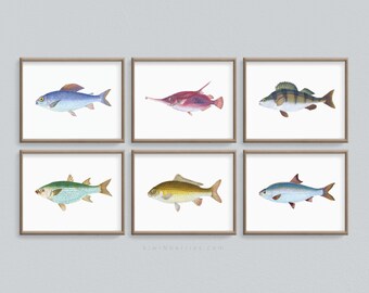 Fish Paintings, Fishing Family Prints, Home Decor Gift, Printable Artwork, Fisherman Gift, Nature Gift, Printable Digital, Colorful Fish