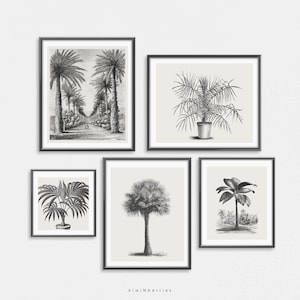 Conjunto de impresión de palma en blanco y negro, póster de palmeras, imprimible digitalmente, minimalista monocromático, playa tropical botánica, decoración costera del hogar