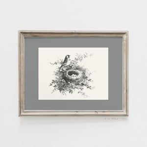 Vintage Bird Nest Print, Woodland Nature Wall Art, Hand Drawn Bird and Nest Illustration, Rustic Neutral Digital Download