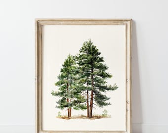 Evergreen Pine Tree Print: Rustic Forest Watercolor (Digital Download)