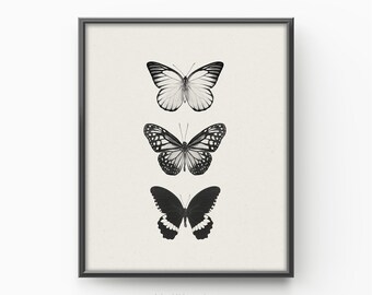May include: Black and white print of three butterflies arranged vertically. The top butterfly is white with black markings, the middle butterfly is black with white markings, and the bottom butterfly is black with white markings.