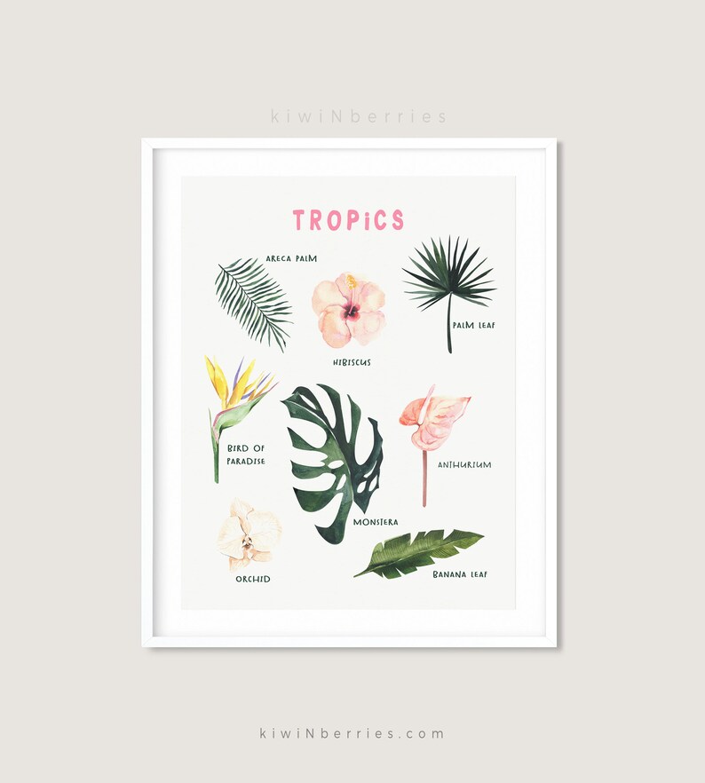 Tropical wall art Tropics beach Kitchen decor Plants wall art Tropical decor Tropical plants print Printable wall art Kitchen Art