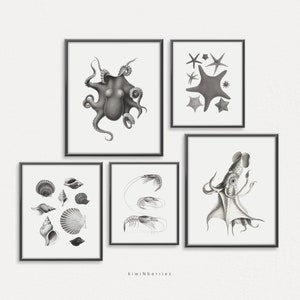 Schwarz weiß Meer Drucke, Meeresleben Poster, Bleistift Tusche Zeichnung, minimalistische Monochrome, Ozeanische Galerie Wand, druckbare Digitale