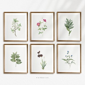 Estampes botaniques, Ensemble de 6 impressions végétales, dessin vintage, Illustration botanique, Affiches botaniques, Fleurs et plantes Art mural, Impressions neutres