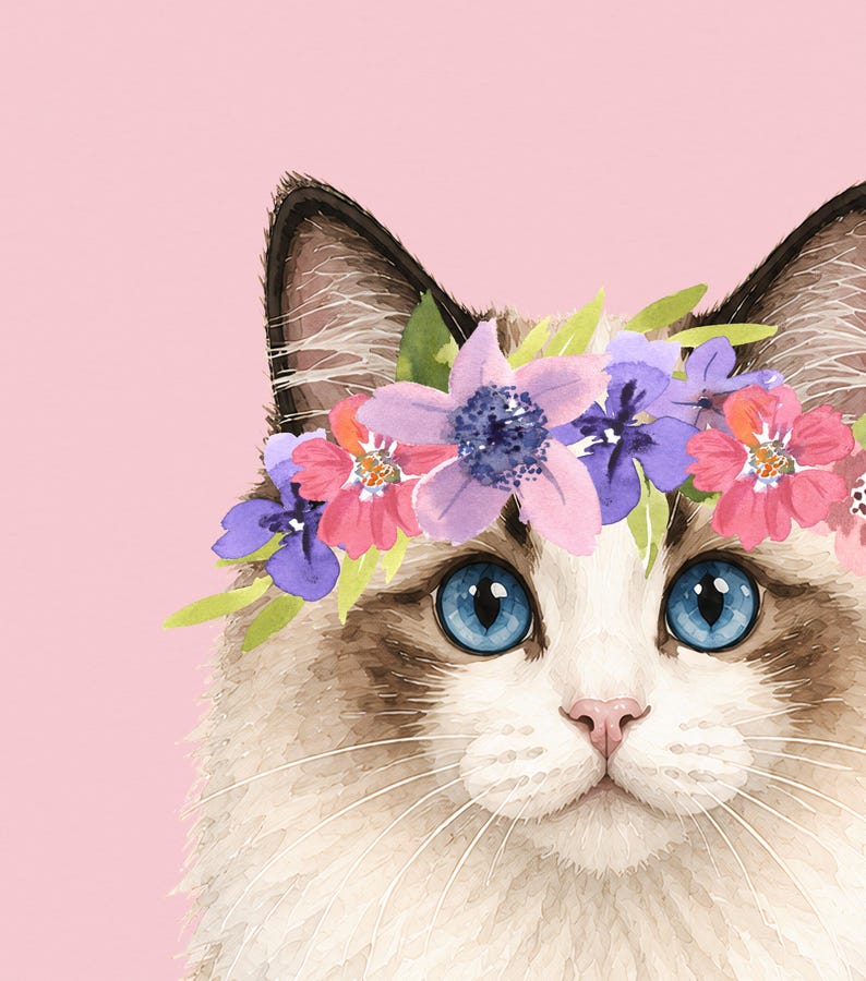 May include: Watercolor illustration of a cat with blue eyes and a floral crown. The cat has white and brown fur, a pink nose, and long white whiskers. The flower crown features pink, purple, and blue flowers with green leaves, set against a pink background.