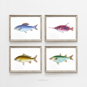 Fish print, Fish printable, Coastal decor, Nautical Wall Art, Fisherman Fishing, Beach art, Lake house Decor, Farmhouse Shabby, Fish Poster