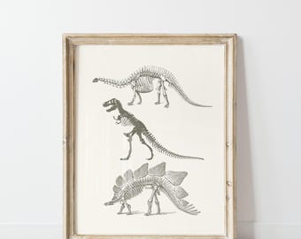 Dinosaur Skeleton Anatomy Print: Vintage Paleontology Poster (Digital Download)