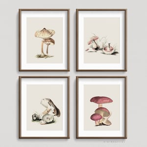 Impresión neutral de setas, conjunto de arte de pared de pintura de setas vintage, impresiones naturales, regalo de amantes de la naturaleza, decoración de la sala de estar, cartel de setas