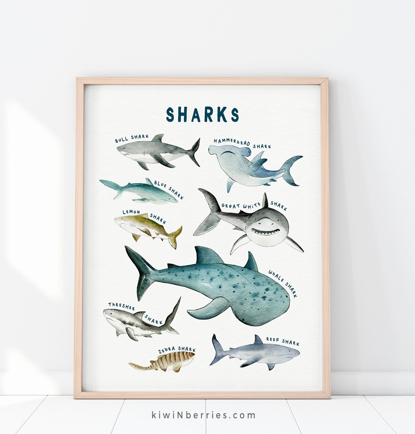 Stupell Industries Nautical Shark Chart Wall Plaque - Watercolor Marine Animals Art, 10x15 Inch, White - View #4