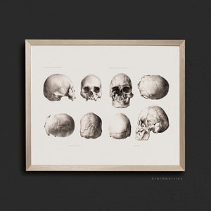 Skulls Poster Vintage, Digital Halloween Art, Vintage Rustic Antique, Simple Minimalist, Human Skulls Sketch, Halloween drawing