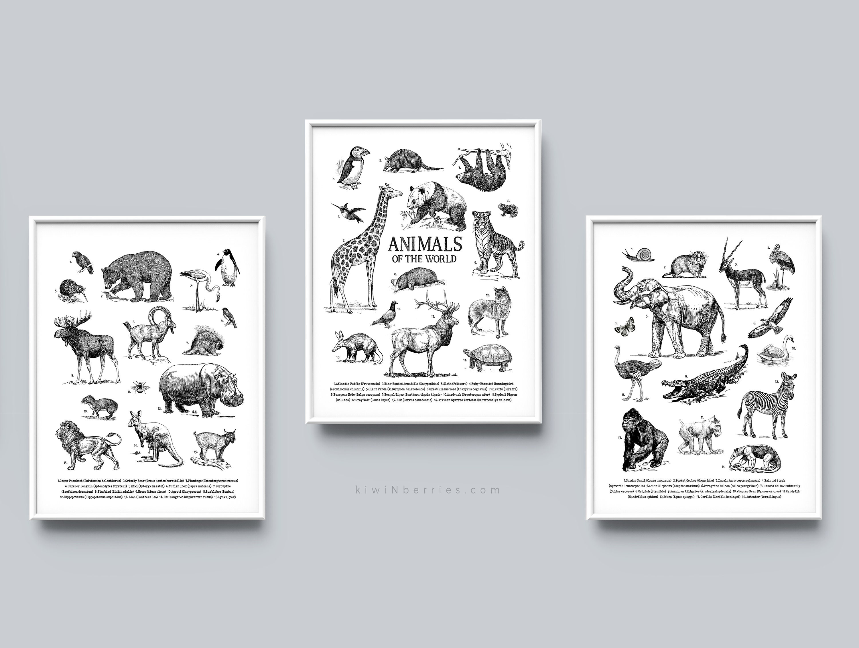 Animals of the World Poster: Black and White Sketch Print (set of