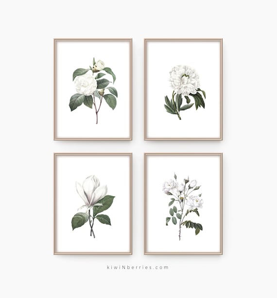 White Floral Botanical Prints: Farmhouse Wall Art (Set of 4) (Digital Prints)