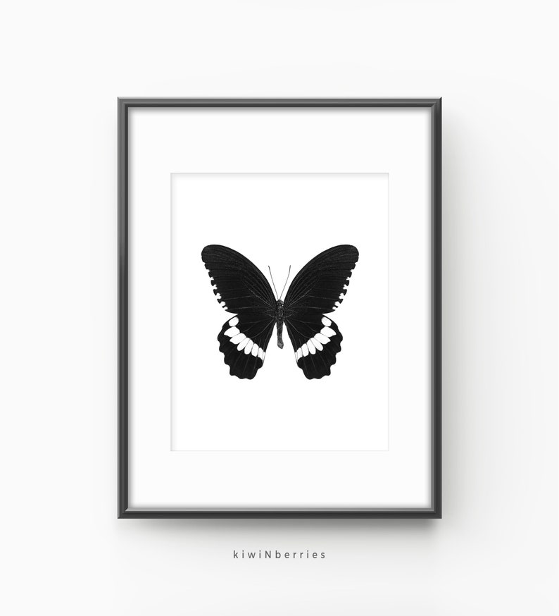 Butterfly Print Set Monochrome Decor Minimalist Home Etsy