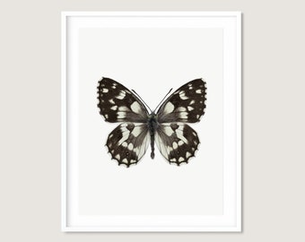 Real Butterfly Art Print: Black and White Modern Wall Decor (Digital Download)