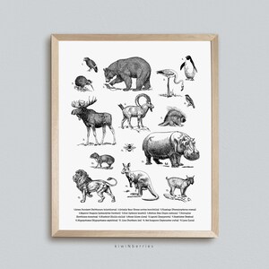Wild Animals Chart Print, Sketchy Zwart-wit, buiten kamperen kinderen, Nature Wall Art, Learning Animals Poster, Digital Printable