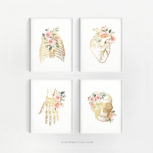 Puede incluir: Conjunto de cuatro impresiones de arte imprimibles con ilustraciones anat&oacute;micas doradas de una caja tor&aacute;cica, un coraz&oacute;n, una mano y un cr&aacute;neo, cada una adornada con flores de acuarela rosa y blanca.