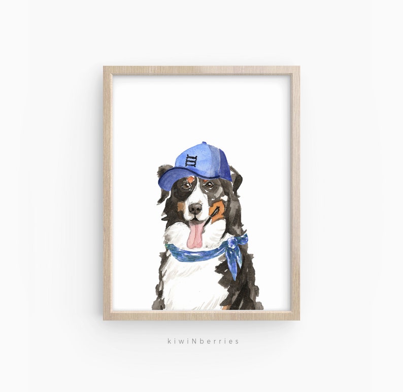 May include: Watercolour painting of a Bernese Mountain Dog wearing a blue baseball cap with a white "III" on it and a blue bandana around its neck. The dog is looking directly at the viewer with its tongue sticking out.