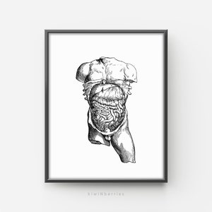 Anatomía masculina Impresión corporal, Anatomía Arte imprimible, Regalo de enfermera médica, Órganos humanos, Arte mural de la oficina de médicos, Póster de cuerpo abierto