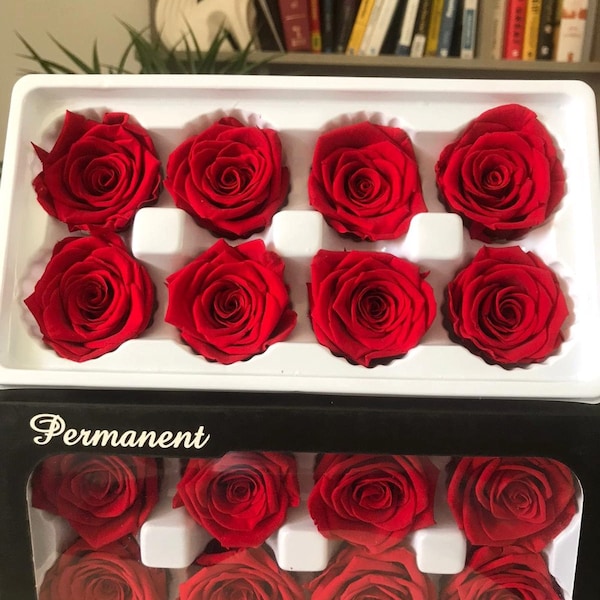 Preserved Roses, 8 pack Free Fast Shipping from USA