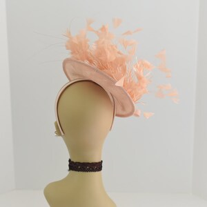 May include: A peach-colored hat with a wide brim and a large feather accent. The hat is made of a soft, delicate material and is perfect for a special occasion.