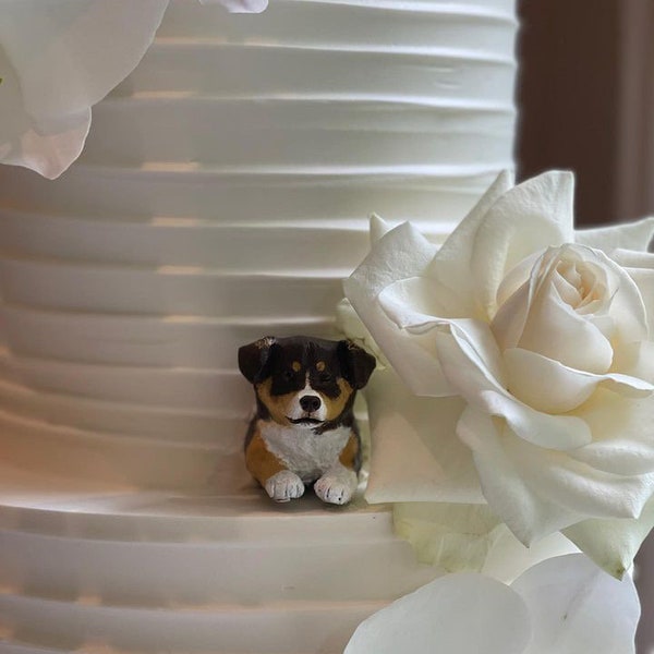 Dog Peeking Out of Wedding Cake Etsy