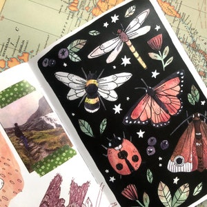 Puede incluir: Una p&aacute;gina de diario con ilustraciones en acuarela de insectos y plantas sobre un fondo negro. La obra de arte incluye una lib&eacute;lula, un abejorro, una mariposa, una mariquita y una polilla, junto con estrellas, hojas y bayas. Tambi&eacute;n se ve una fotograf&iacute;a de una persona caminando.