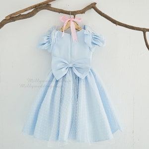 Swiss Dot Overlay Blue Flower Girl Junior Bridesmaid Dress  M0096